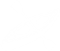 IbizaWaves Logo